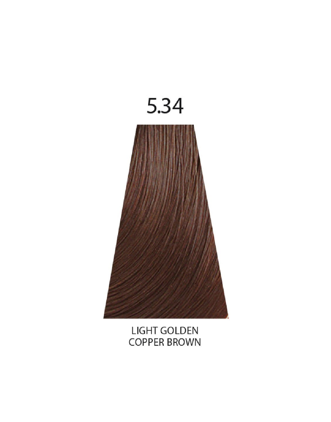 Keune Tinta Hair Color 5.34 Light Golden Copper Brown