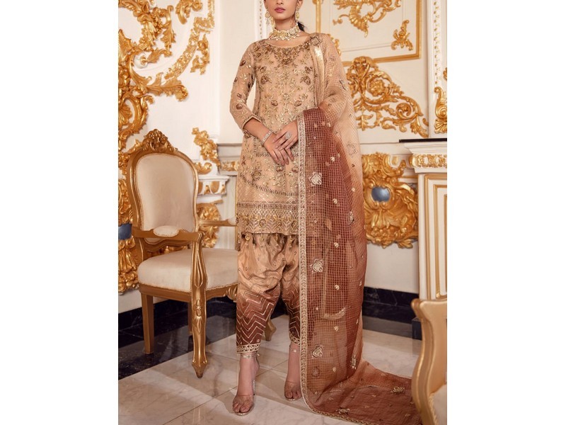 Heavy Embroidered Organza Party Wear Dress 2024