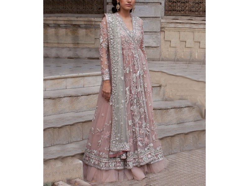 Heavy Embroidered Organza Party Wear Dress 2024