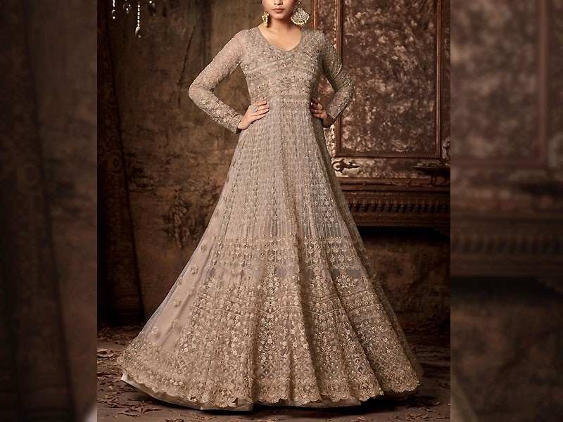 2-Piece Embroidered Fancy Net Party Wear Dress 2024