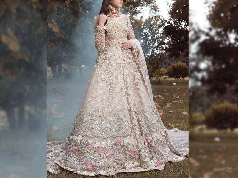 Heavy Embroidered Chiffon Bridal Dress with Embroidered Silk Trouser