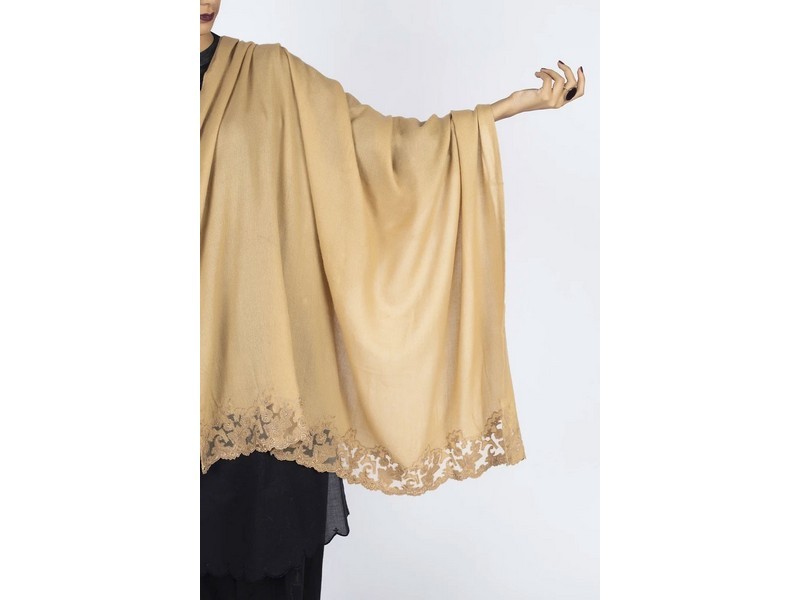 Fancy Embroidered Shamoz Silk Party Wear Dress with Shamoz Silk Trouser