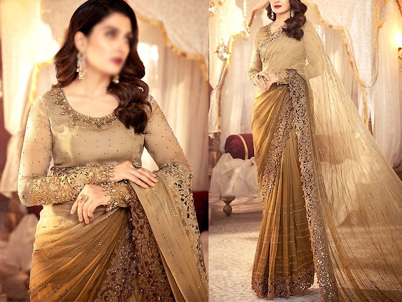 Best Wedding Saree Dresses Designs in Pakistan