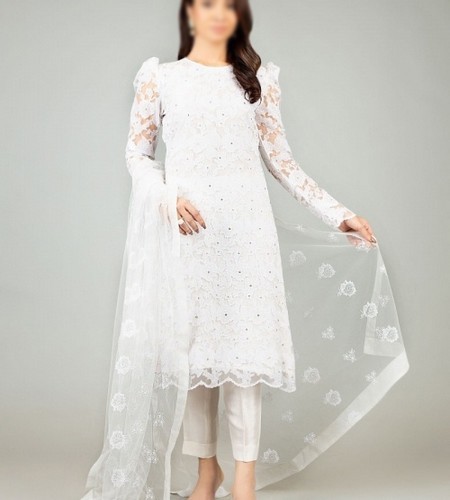 Heavy Embroidered Ombre Style Net Party Wear Dress