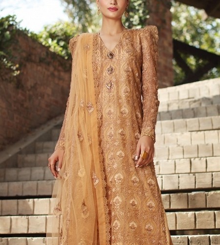 Bareeze Formal Chiffon & Net Dresses Collection 2022
