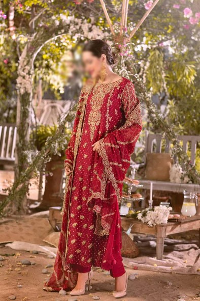 Luxury Mirror & Handwork Embroidered Chiffon Bridal Dress 2022