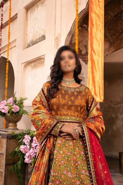 Indian Embroidered Maroon Chiffon Maxi Dress