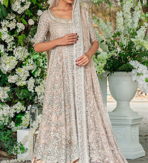 Luxury Heavy Embroidered Net Bridal Dress 2023