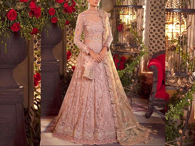 Embroidered Chiffon Wedding Dress 2024 with Embroidered Net Dupatta