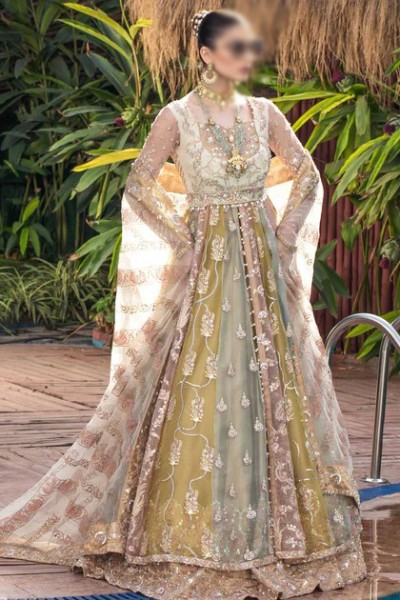 Heavy Embroidered Chiffon Bridal Dress with Embroidered Silk Trouser