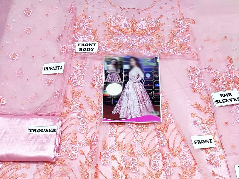 Handwork & Heavy Embroidered Pink Net Maxi Dress