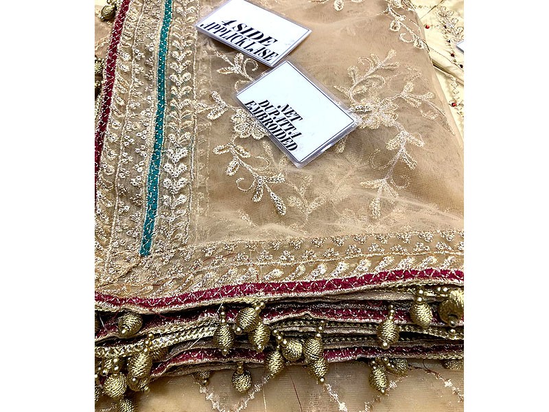 Luxury Heavy Handwork Embroidered Net Bridal Maxi