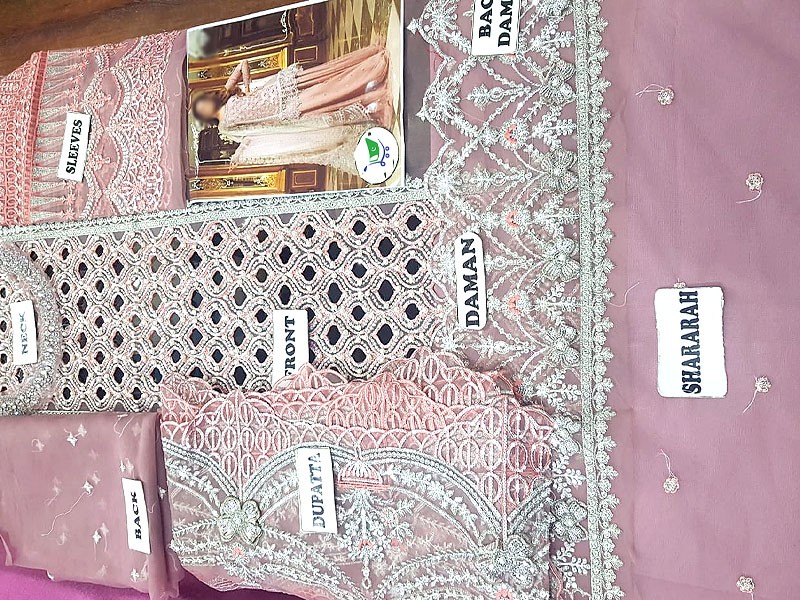 Cutwork Heavy Embroidered Organza Dress with Net Dupatta