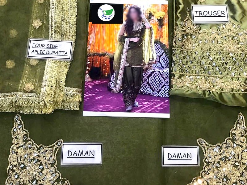 Mirror Work Embroidered Organza Green Mehndi Dress