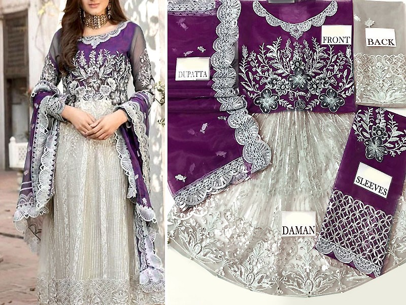 Heavy Embroidered Net Dress with Embroidered Net Dupatta