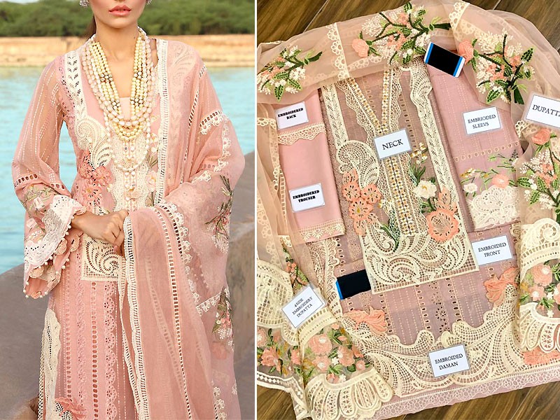 Luxurious Schiffli Embroidered Lawn EID Dress 2022 with 4-Side Embroidered Organza Dupatta