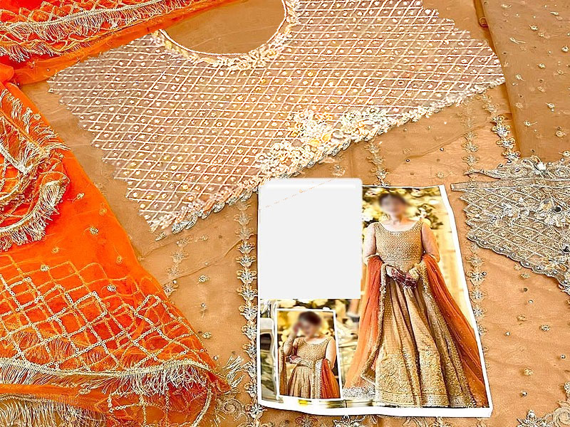 Mirror Work Heavy Embroidered Net Maxi Dress