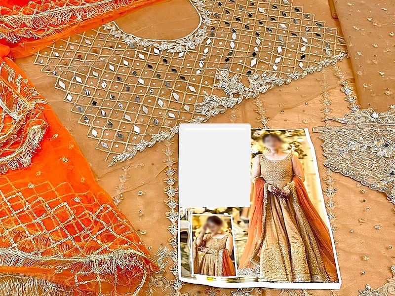 Mirror Work Heavy Embroidered Net Maxi Dress
