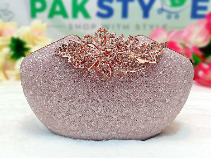 Fancy Party Wear & Bridal Clutches 2022 in Pakistan