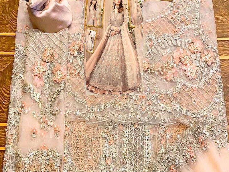Luxurious 3D Handwork & Embroidered Net Bridal Maxi Dress