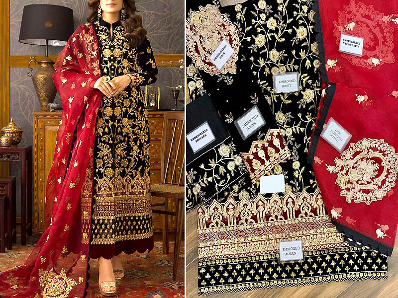 Luxury Heavy Embroidered Velvet Dress with Embroidered Organza Dupatta
