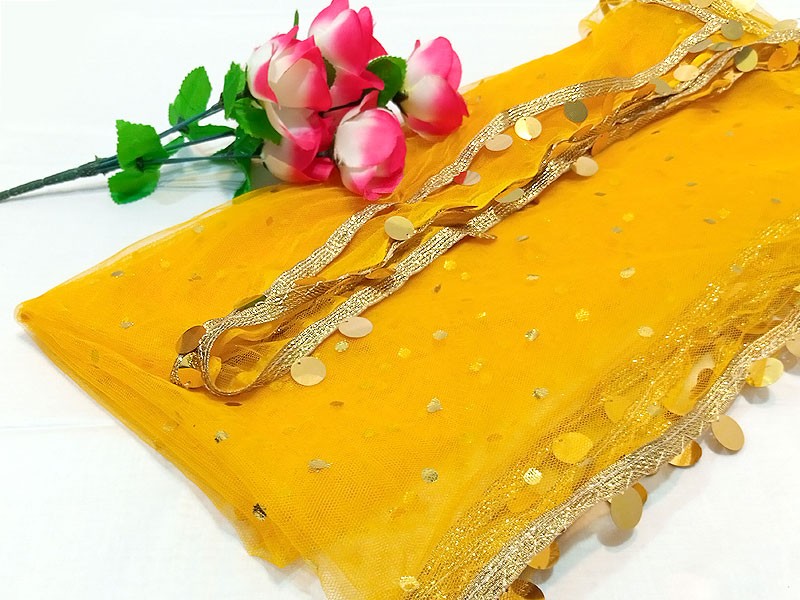 Fancy Coin Lace Net Dupatta of Your Color Choice