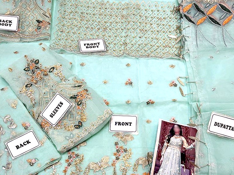 Handwork & Heavy Embroidered Organza Maxi Dress