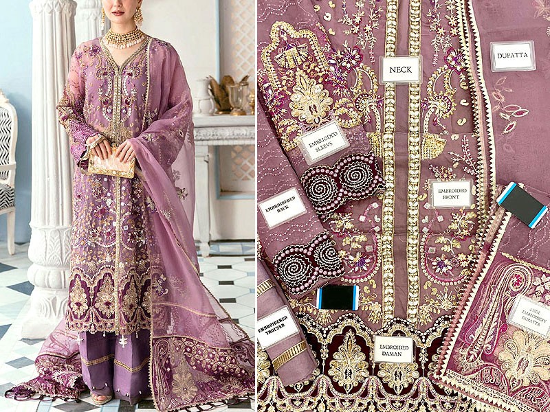 Luxurious Handwork & Heavy Embroidered Organza Bridal Dress 2022