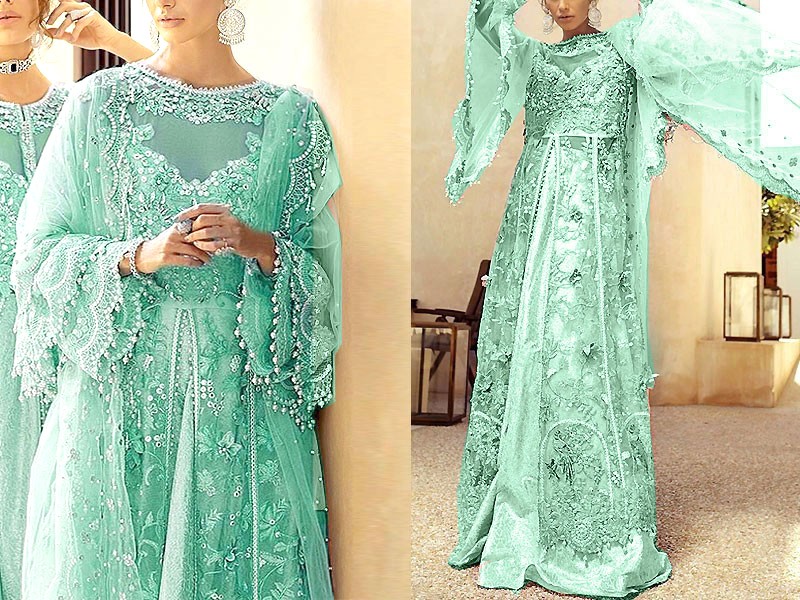 3D & Handwork Heavy Embroidered Organza Wedding Dress 2022 Price in Pakistan