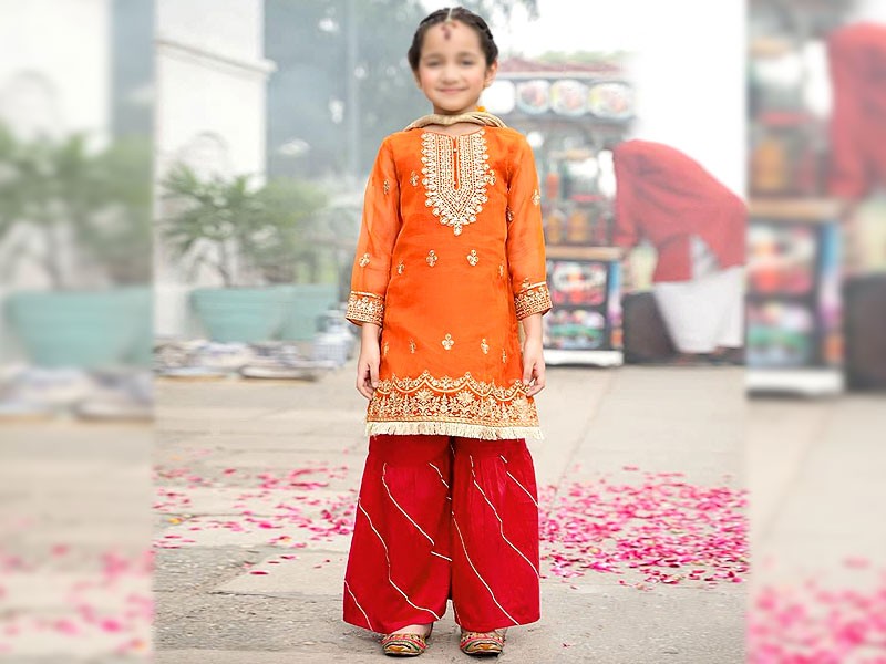 Embroidered Net Wedding Dress for Kids 2023 Price in Pakistan