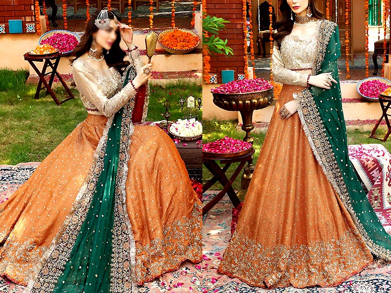 Luxury Handwork Heavy Embroidered Net Bridal Maxi Dress 2023 Price in Pakistan