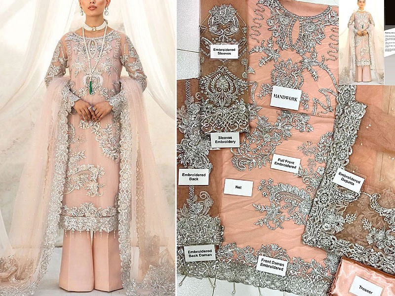 Handwork Heavy Embroidered Net Wedding Dress 2024 with Inner