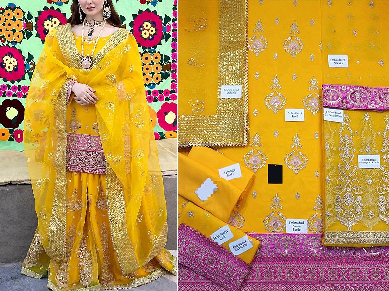 Heavy Embroidered Organza Bridal Mayun & Mehndi Dress 2024