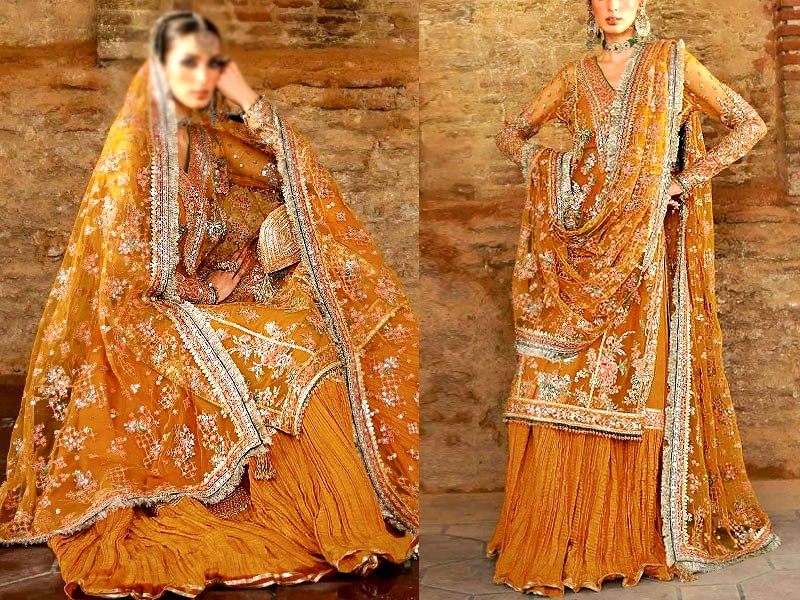 Luxury Handwork Embroidered Net Wedding Dress 2023 Price in Pakistan