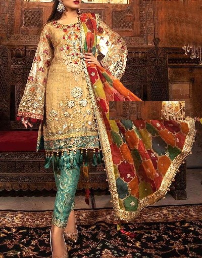 Heavy Embroidered Net Wedding Dress with Organza Net Dupatta Price in Pakistan