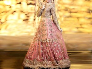 Heavy Embroidered Net Bridal Maxi Dress Price in Pakistan