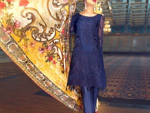 Heavy Embroidered Blue Net Dress with Digital Print Silk Dupatta Price in Pakistan