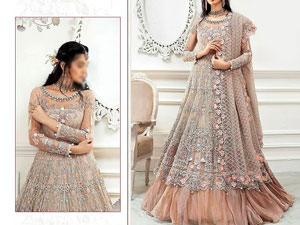 Handwork Heavy Embroidered Bridal Net Maxi Dress 2021 Price in Pakistan