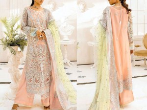 Mirror Work Heavy Embroidered Net Wedding Dress Price in Pakistan