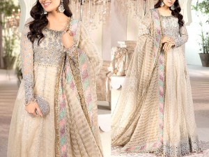 Heavy Embroidered Organza Wedding Dress 2021 with Silk Trouser Price in Pakistan