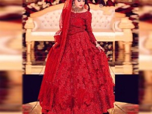 3D & Handwork Heavy Embroidered Net Bridal Maxi Dress Price in Pakistan