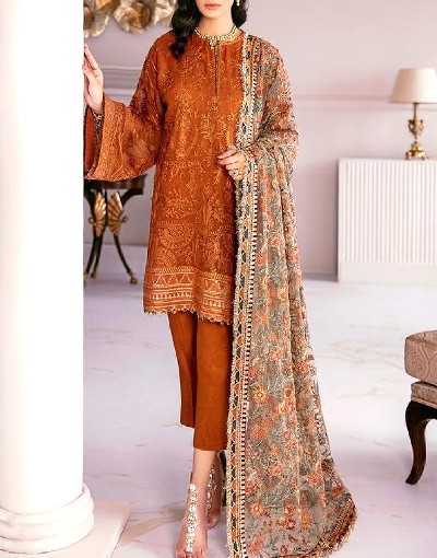 Heavy Embroidered Organza Party Wear Dress 2024