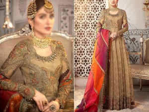 Heavy Embroidered Fancy Organza Maxi Dress 2022 Price in Pakistan