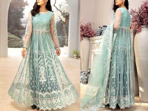 Mirror & Handwork Heavy Embroidered Net Maxi Dress 2021 Price in Pakistan