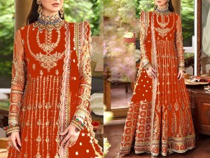 Luxury Handwork Heavy Embroidered Net Bridal Maxi Dress Price in Pakistan