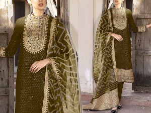 Heavy Embroidered Organza Party Wear Dress 2022 Price in Pakistan