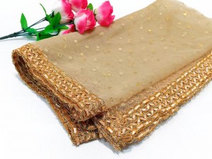 Gota Lace Net Dupatta - Skin Price in Pakistan
