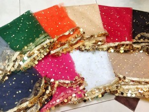 Fancy Coin Lace Net Dupatta of Your Color Choice Price in Pakistan