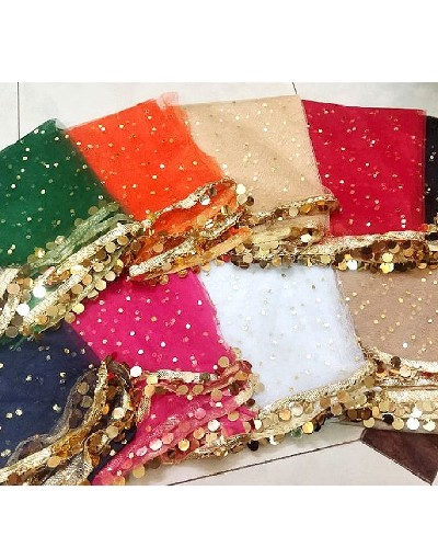 Fancy Coin Lace Net Dupatta of Your Color Choice Price in Pakistan