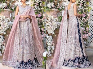 Luxury Mirror & Handwork Embroidered Net Maxi Dress 2022 Price in Pakistan